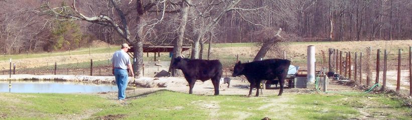 Brinkley Farms Beef