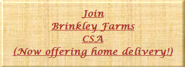 Join Brinkley Farms CSA - Now offering home delivery!