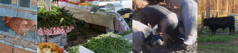 Brinkley Farms Products