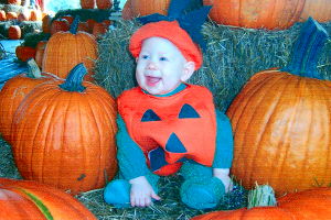 Pumpkins!