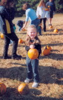 The Pumpkin Patch!