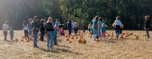 The Pumpkin Patch!